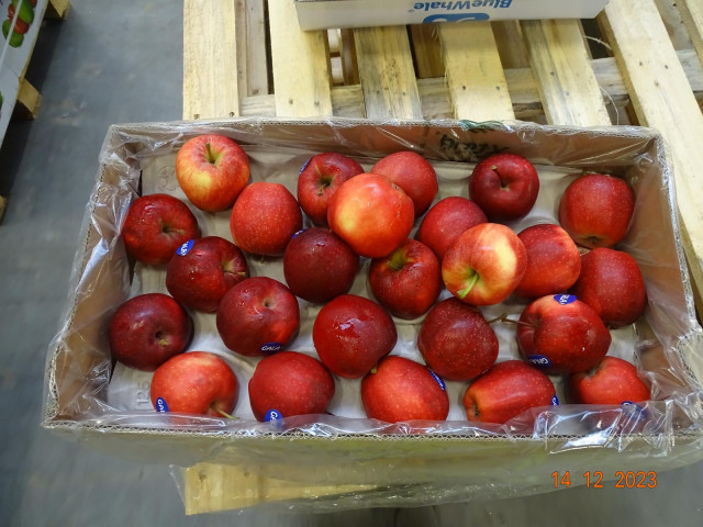 Sprzedaż awaryjna Jabłka GALA 21palet