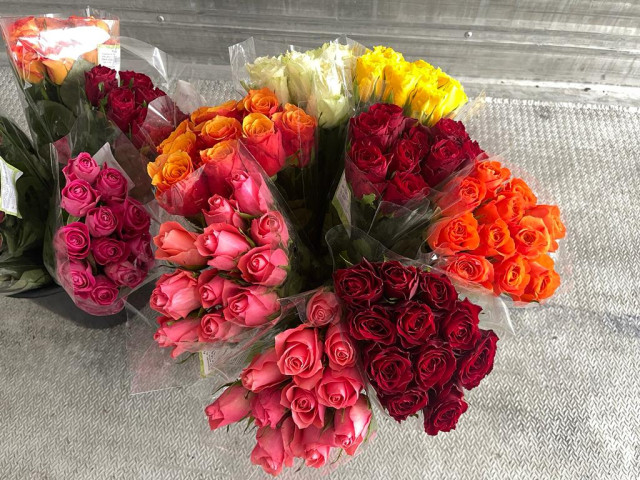 Róże - Czerwone, białe, żółte, różowe, pomarańczowe - 50 wiader x 8 bukietów x 11 róż